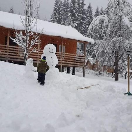 Cottage Shgedi Μέστια Εξωτερικό φωτογραφία