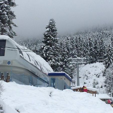 Cottage Shgedi Μέστια Εξωτερικό φωτογραφία