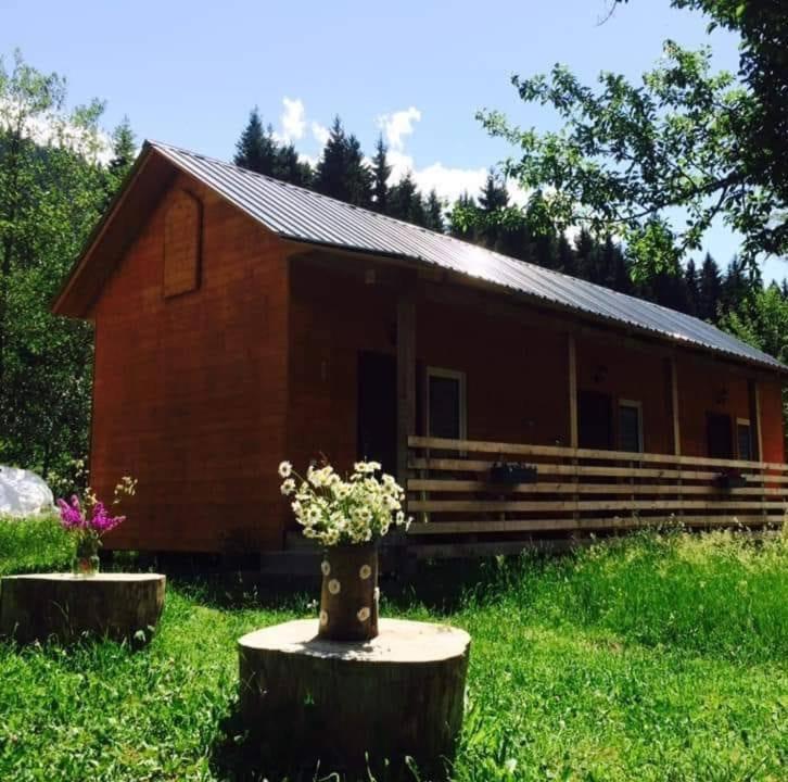 Cottage Shgedi Μέστια Εξωτερικό φωτογραφία