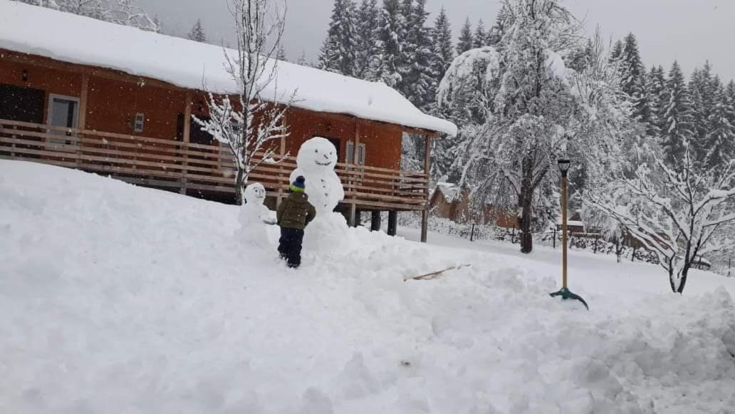 Cottage Shgedi Μέστια Εξωτερικό φωτογραφία