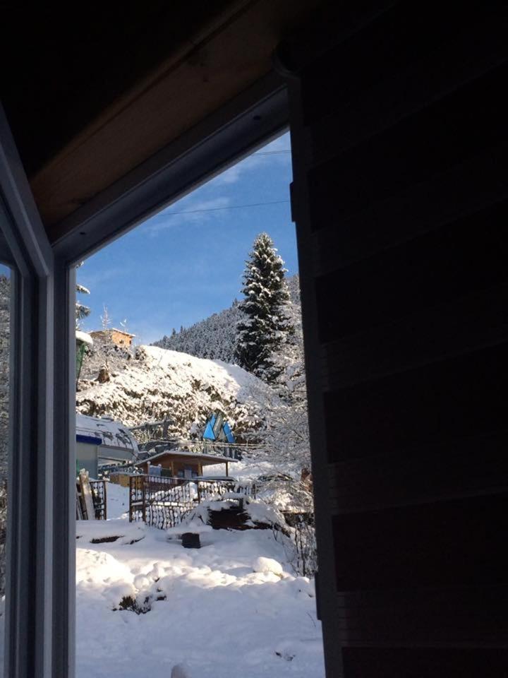 Cottage Shgedi Μέστια Εξωτερικό φωτογραφία