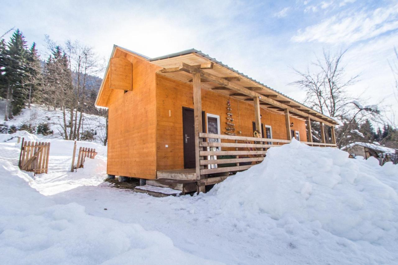 Cottage Shgedi Μέστια Εξωτερικό φωτογραφία