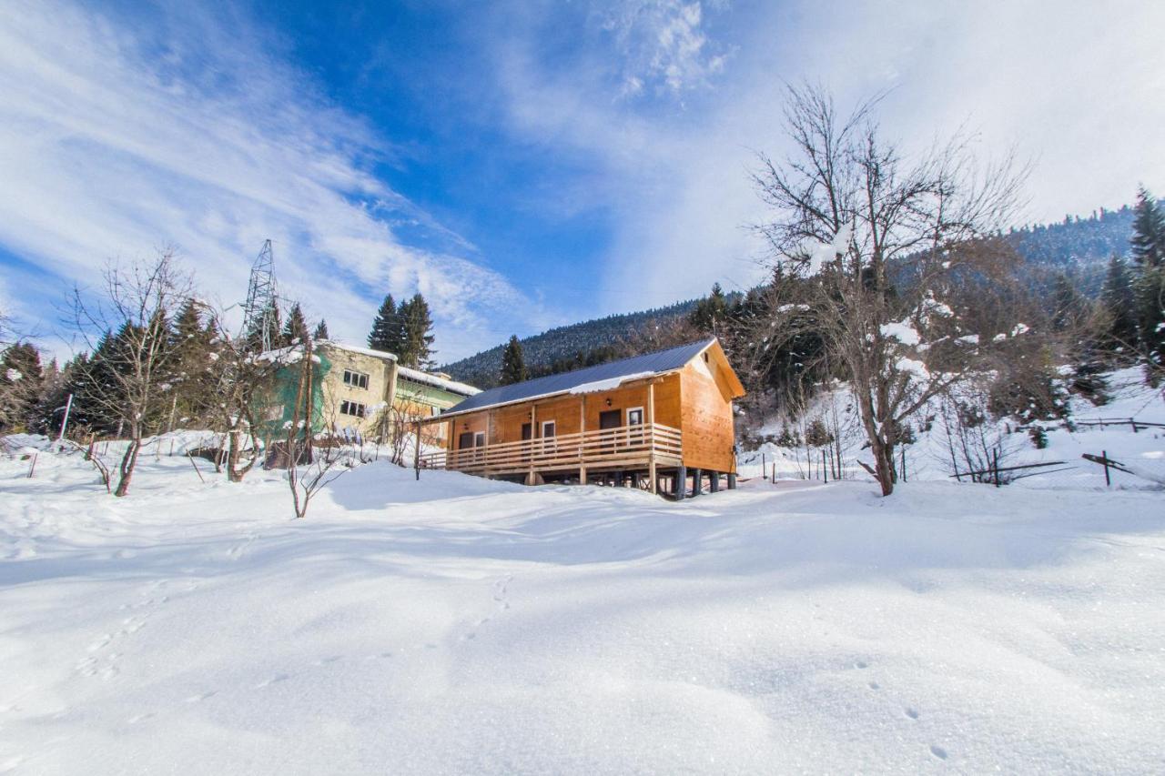 Cottage Shgedi Μέστια Εξωτερικό φωτογραφία