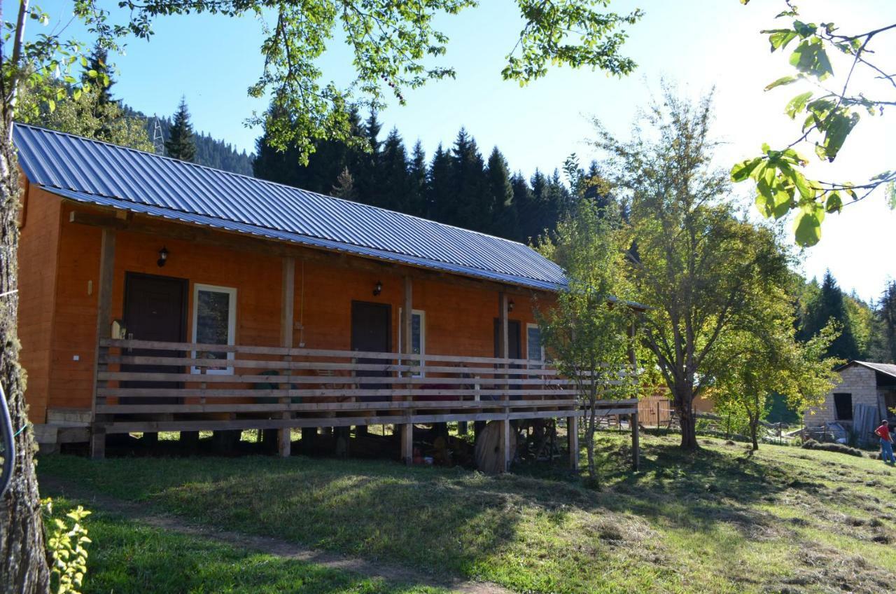 Cottage Shgedi Μέστια Εξωτερικό φωτογραφία